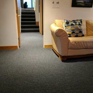 Commercial Carpet for Home Use