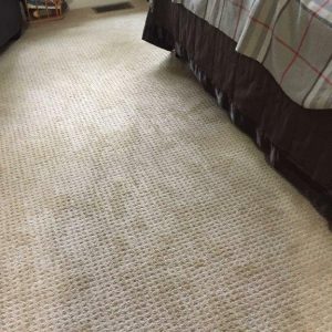 Boston Metrowest Wall To Wall Carpet