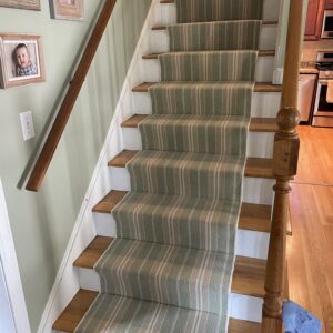 Coastal meadow flax seligman rug