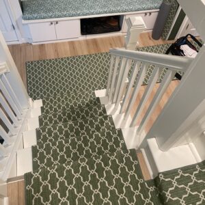 Defronzo stairs rug