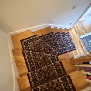 Lafortune brilliant rug