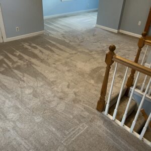 Riggleman rug